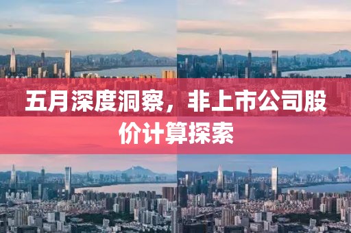 五月深度洞察，非上市公司股价计算探索