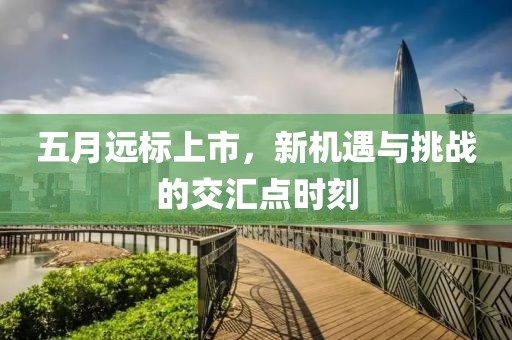 五月远标上市，新机遇与挑战的交汇点时刻