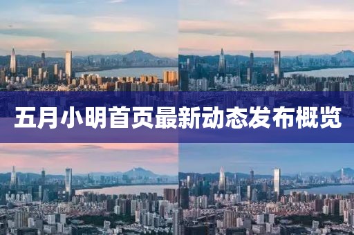 五月小明首页最新动态发布概览