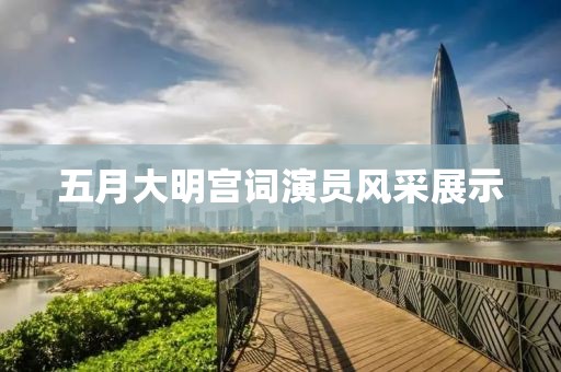 五月大明宫词演员风采展示