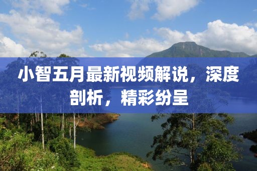 小智五月最新视频解说，深度剖析，精彩纷呈