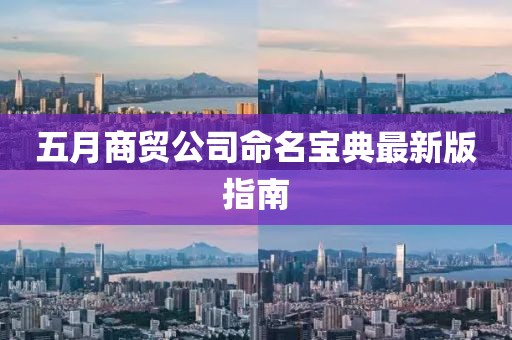 五月商贸公司命名宝典最新版指南