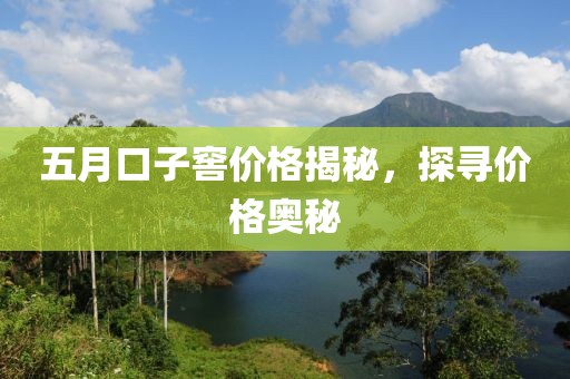 五月口子窖价格揭秘，探寻价格奥秘