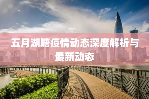 五月湖塘疫情动态深度解析与最新动态