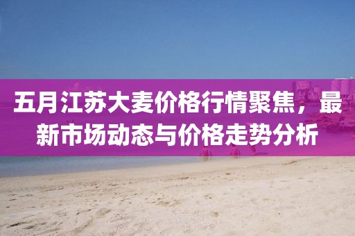五月江苏大麦价格行情聚焦，最新市场动态与价格走势分析