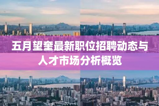 五月望奎最新职位招聘动态与人才市场分析概览