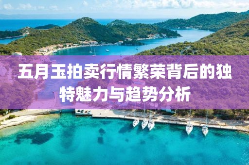 五月玉拍卖行情繁荣背后的独特魅力与趋势分析