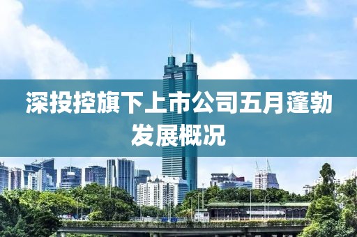 深投控旗下上市公司五月蓬勃发展概况