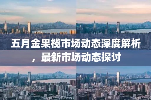 五月金果榄市场动态深度解析，最新市场动态探讨