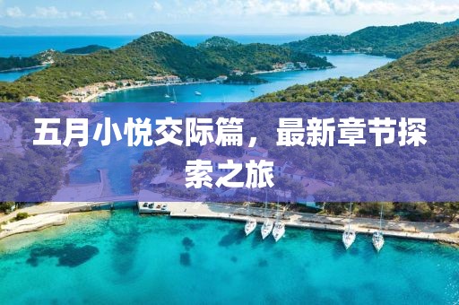 五月小悦交际篇，最新章节探索之旅