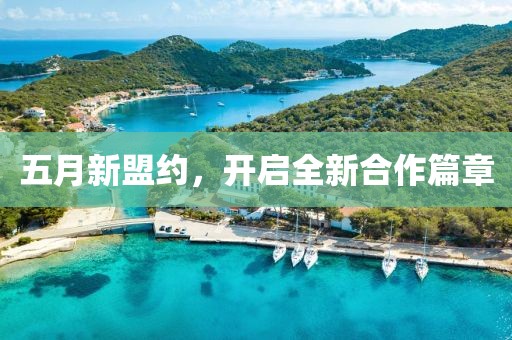五月新盟约，开启全新合作篇章