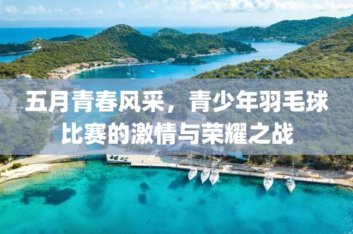 五月青春风采，青少年羽毛球比赛的激情与荣耀之战