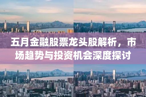 五月金融股票龙头股解析，市场趋势与投资机会深度探讨