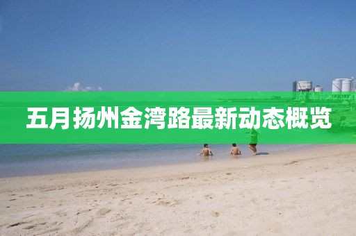 五月扬州金湾路最新动态概览