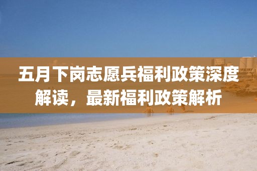五月下岗志愿兵福利政策深度解读，最新福利政策解析