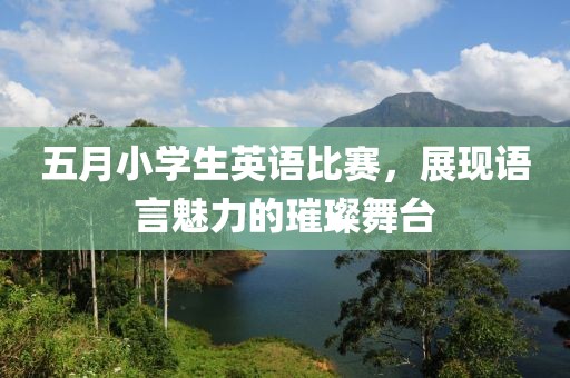 五月小学生英语比赛，展现语言魅力的璀璨舞台