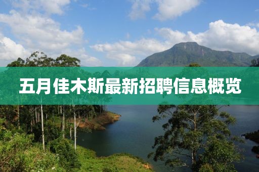 五月佳木斯最新招聘信息概览