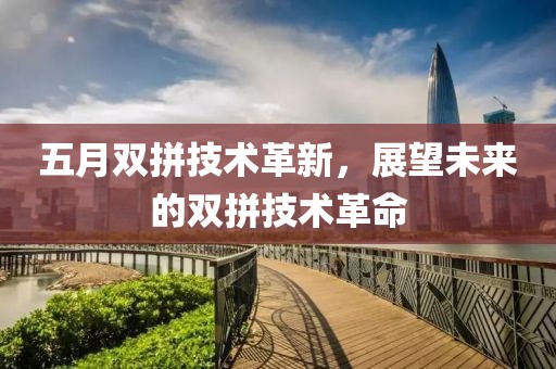 五月双拼技术革新，展望未来的双拼技术革命