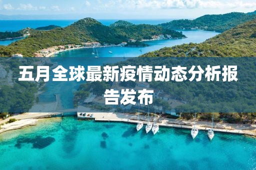五月全球最新疫情动态分析报告发布