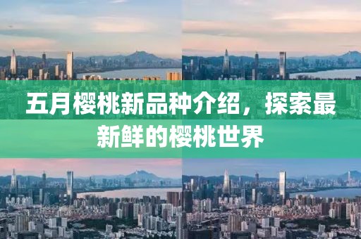 五月樱桃新品种介绍，探索最新鲜的樱桃世界