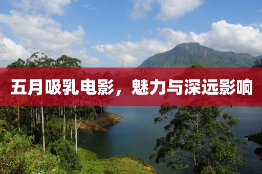 五月吸乳电影，魅力与深远影响