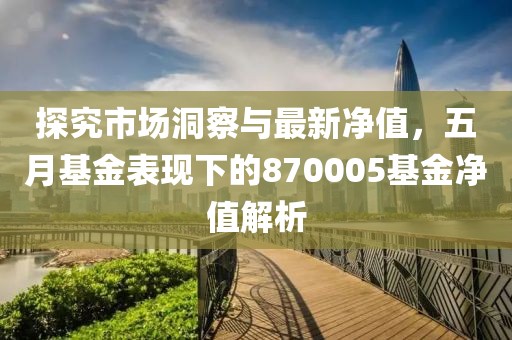 探究市场洞察与最新净值，五月基金表现下的870005基金净值解析