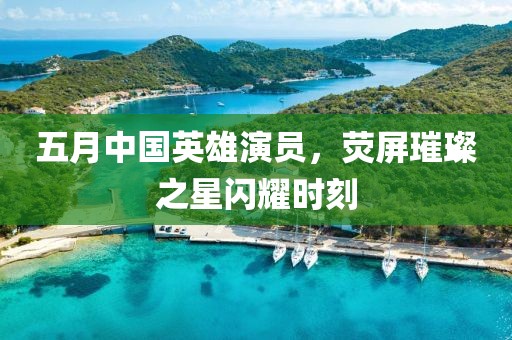 五月中国英雄演员，荧屏璀璨之星闪耀时刻