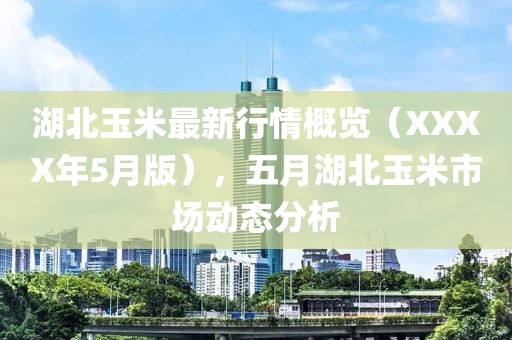 湖北玉米最新行情概览（XXXX年5月版），五月湖北玉米市场动态分析