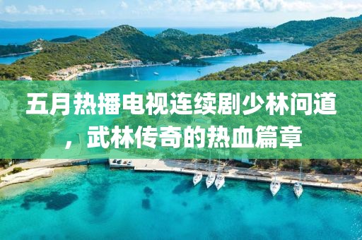 五月热播电视连续剧少林问道，武林传奇的热血篇章