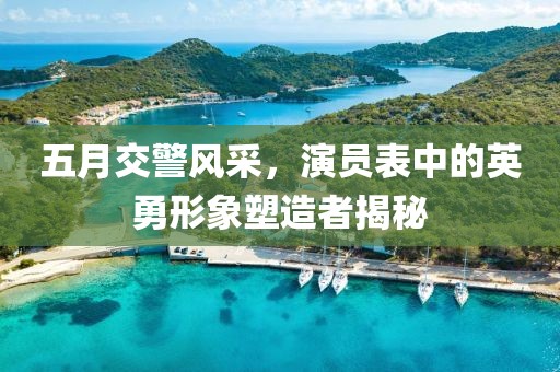 五月交警风采，演员表中的英勇形象塑造者揭秘