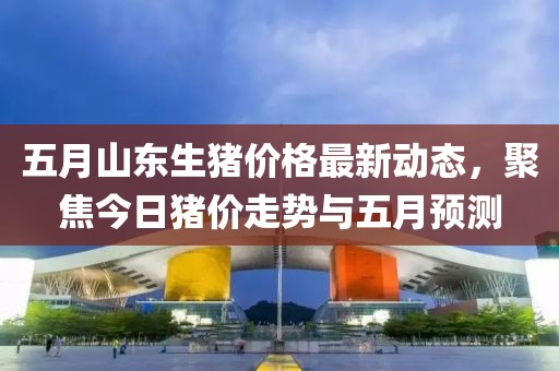 五月山东生猪价格最新动态，聚焦今日猪价走势与五月预测