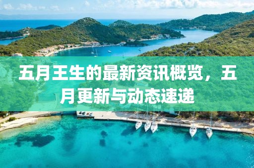 五月王生的最新资讯概览，五月更新与动态速递
