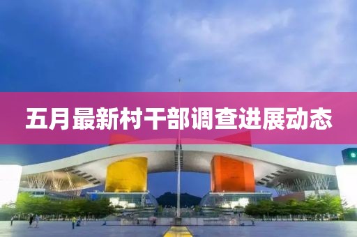 五月最新村干部调查进展动态