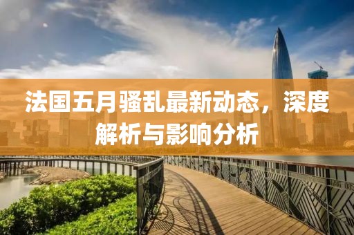 法国五月骚乱最新动态，深度解析与影响分析