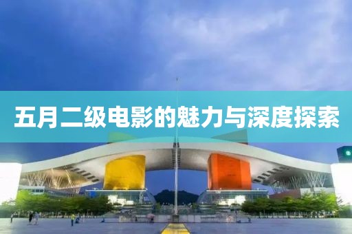 五月二级电影的魅力与深度探索