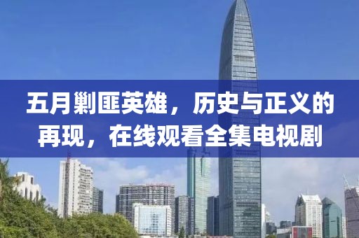五月剿匪英雄，历史与正义的再现，在线观看全集电视剧