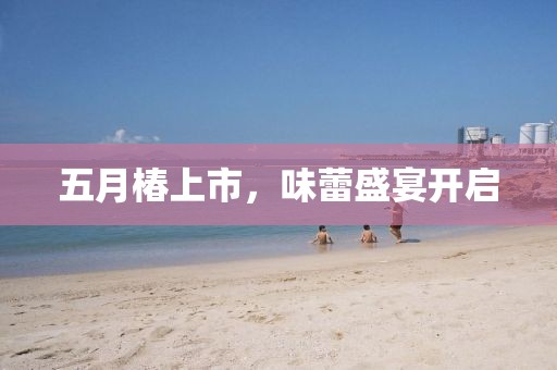 五月椿上市，味蕾盛宴开启