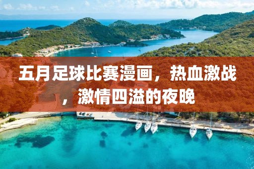 五月足球比赛漫画，热血激战，激情四溢的夜晚