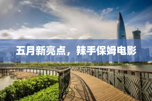 五月新亮点，辣手保姆电影