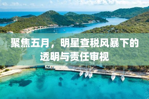 聚焦五月，明星查税风暴下的透明与责任审视