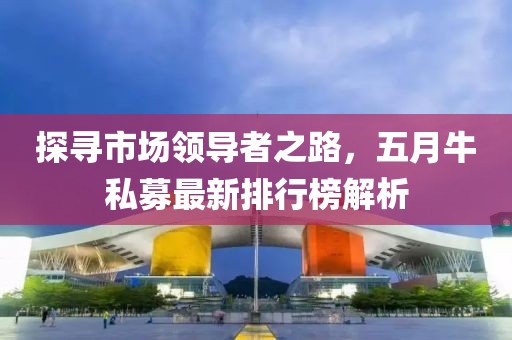 探寻市场领导者之路，五月牛私募最新排行榜解析