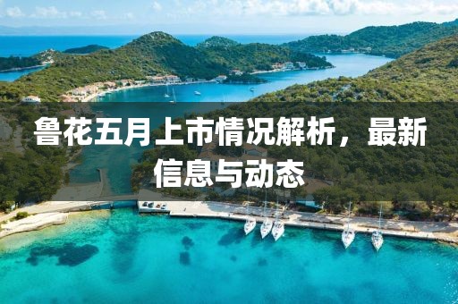 鲁花五月上市情况解析，最新信息与动态