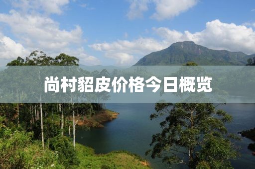 尚村貂皮价格今日概览