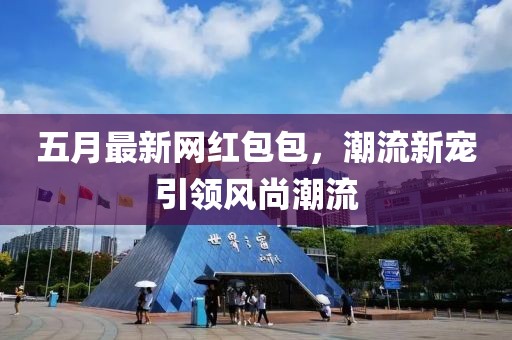 五月最新网红包包，潮流新宠引领风尚潮流