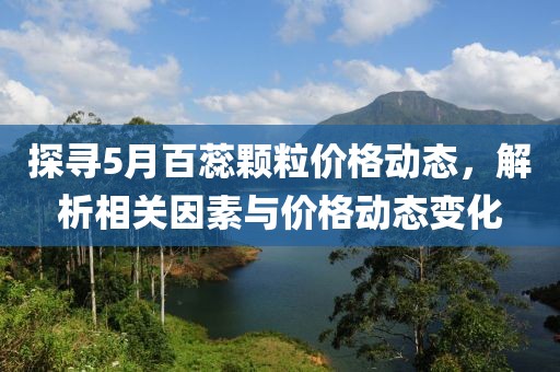探寻5月百蕊颗粒价格动态，解析相关因素与价格动态变化