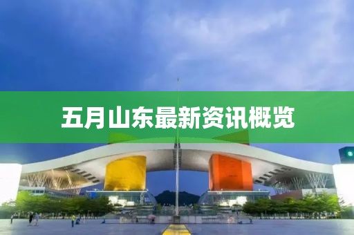 五月山东最新资讯概览