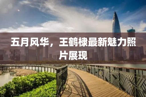 五月风华，王鹤棣最新魅力照片展现