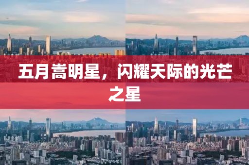 五月嵩明星，闪耀天际的光芒之星