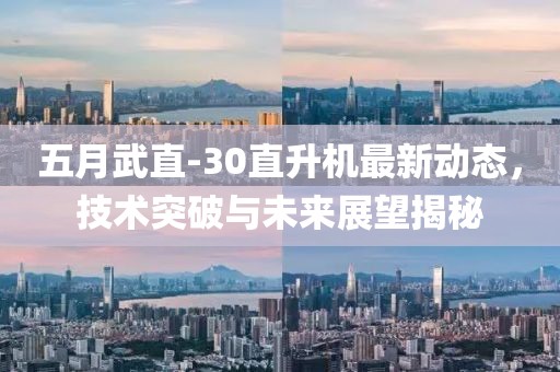五月武直-30直升机最新动态，技术突破与未来展望揭秘
