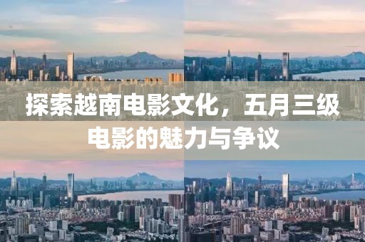 探索越南电影文化，五月三级电影的魅力与争议